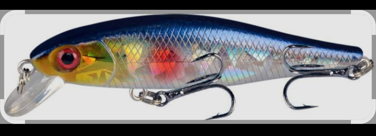 طعم بهذا الشكل العدد ٥٠ قطعه مكان البصره


**إذا كنت صاحب هذا الإعلان وتريد حذفه لأي سبب، رجاءا أرسل رسالة إلى الدعم الفني**