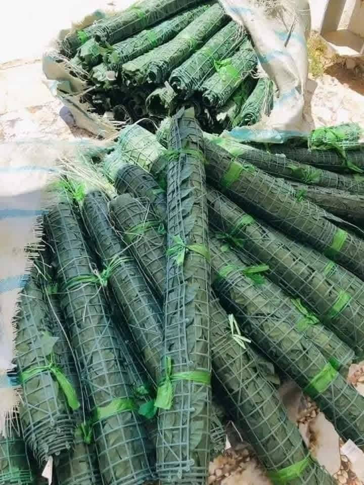 رول عشب صناعي 💚✨
لإطلالة خضراء دايمًا في الحدائق، المنازل، والبلكونات 🏡🌞  

🌟 منظر طبيعي واقعي — يغير شكل المكان تمامًا!  

🌿 كثيف وثقيل — جودة عالية ومظهر فاخر  

📏 مقاس الرول: 3 أمتار طول × 1 متر عرض 

🚚 توصيل وشحن لجميع المحافظات 💙


**إذا كنت صاحب هذا الإعلان وتريد حذفه لأي سبب، رجاءا أرسل رسالة إلى الدعم الفني**