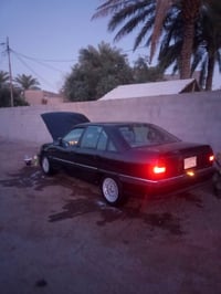 بدون صبغ • فيه مجال • بابل حله