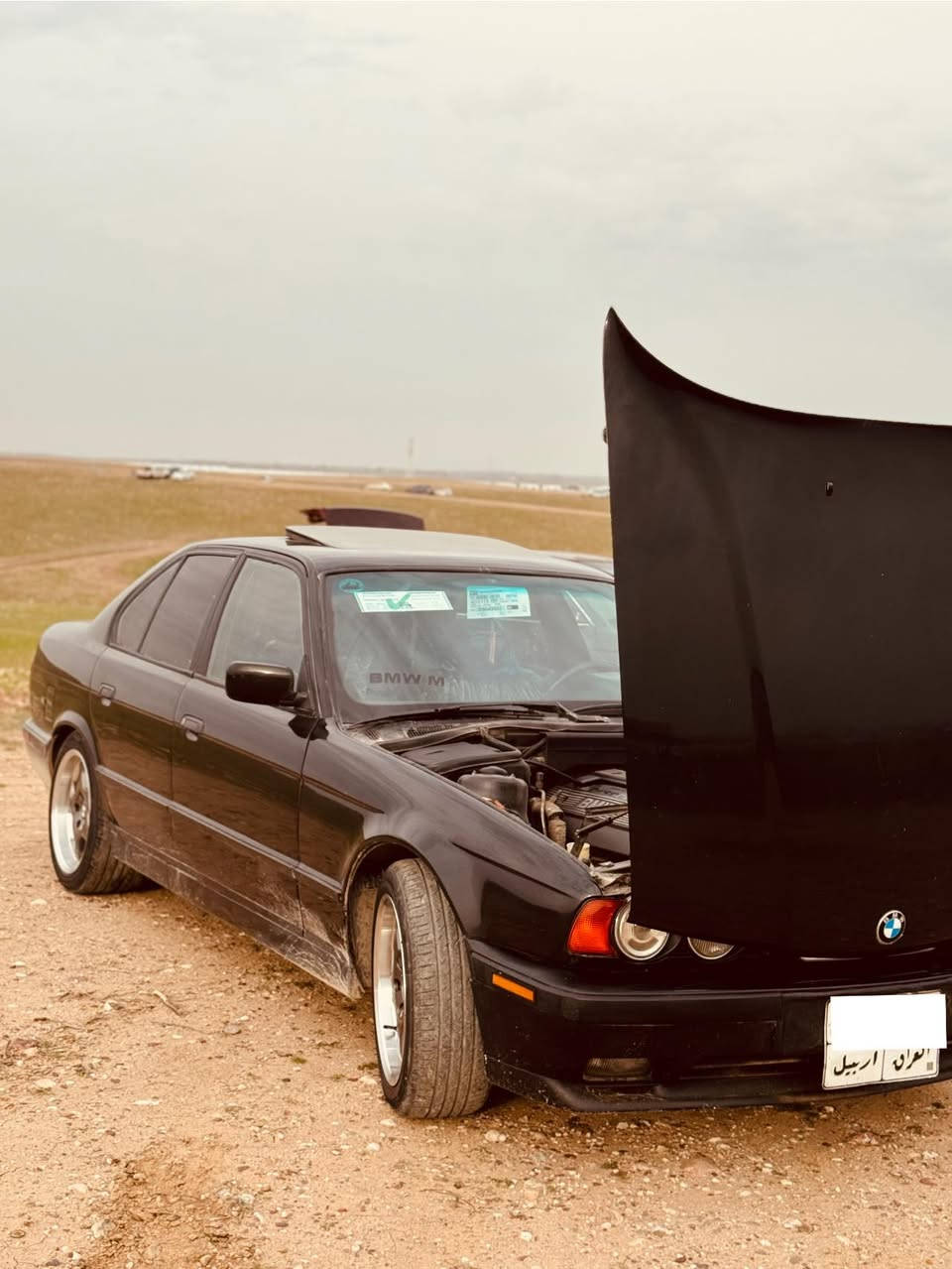 ***********
1993
525
