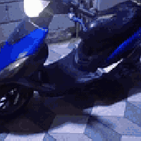 ماكس 49 • سلف كهربائيات • الكاطون