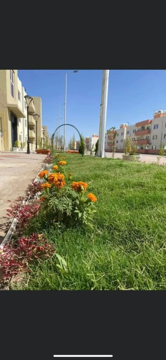 السلام عليكم شقه للبيع مجمع ريحانه قرب مجمع بسمايه
-مساحة : 142 الطابق الثاني 

-سعرها الكلي 130 واصل منها 20

-قصدها الشهري : 548

-تحويل على المشتري

-تواصل : ***********
