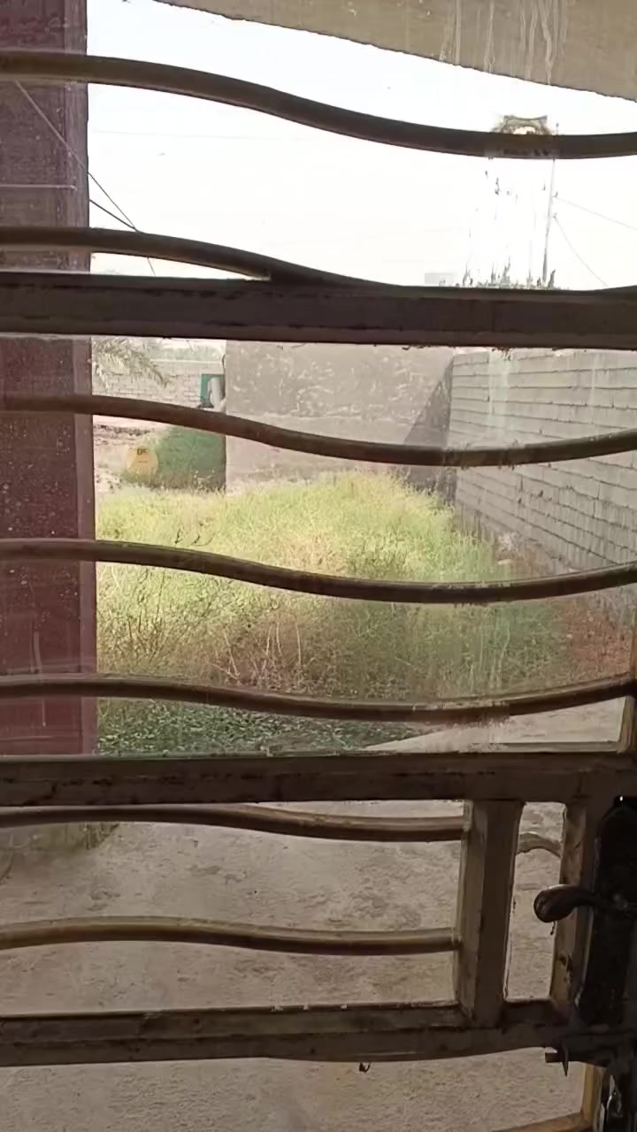 السلام عليكم/بسبب الوعود الكاذبة اعدنا النشر.
بيت ومشتمل للبيع
الصنف/وقف
العنوان/گميرة..قرب جزيرة بغداد السياحية
البيت/مساحة البناء 218 متر مربع. طابقين الارضي: 3 غرف نوم. 3 حمامات وصحيات / صالة /استقبال /مطبخ/ طرمة/ كراج.
الطابق الثاني/ : 2 غرف نوم احداهما سويت.
المشتمل/ مساحة البناء 59 متر مربع:
غرفة نوم / استقبال/  مطبخ/ صحيات/ سقفه ساندويج
خلف الدار / مساحتها اكثر من 100
 متر
امام الدار/حديقة مساحتها :اكثر من 400 متر
منطقة مفتوحة متوفرة جميع الخدمات من / ماء . كهرباء  .مجاري
تبليط والارصفة 
اي استفسار اخر تتواصل على الرقم
*********** (ام محمد)
