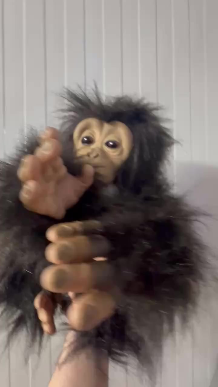 السلام عليكم
قرد تفاعلي نظيف بي هواية حركات ويشبه الحقيقي
السعر خاص


**إذا كنت صاحب هذا الإعلان وتريد حذفه لأي سبب، رجاءا أرسل رسالة إلى الدعم الفني**