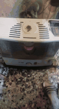 للبيع اثنينهن ب ١٠٠ مكان بغداد حي الكوفه مقابل ام الكبر الغزلان

***********
