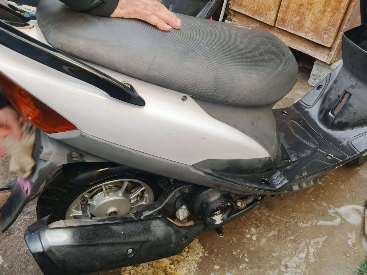 سلام عليكم دراجه للبيع رمبه كلجات رياضي ودبل خلفي رياضي بلديه مكان الدولعي شراي خاص***********
