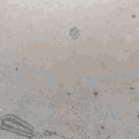 بيت عنوان حي الكوفه شارع بيت شميل المساحة 170متر السعر 75وبي مجال الرق...