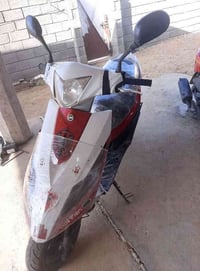 سايم • نحله • الحقلانيه