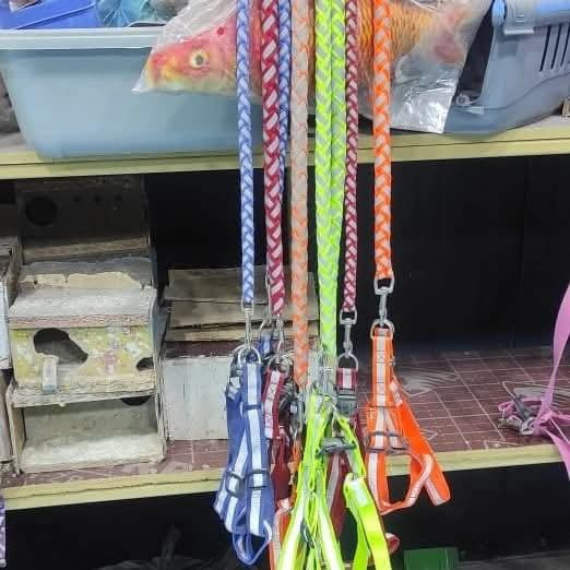 كل مايخص القطط والكلاب متوفر لدينا 🐶🐱 أسعار جدآ رخيصه ✨يوجد توصيل داخل الديوانيه ✅🥰


**إذا كنت صاحب هذا الإعلان وتريد حذفه لأي سبب، رجاءا أرسل رسالة إلى الدعم الفني**