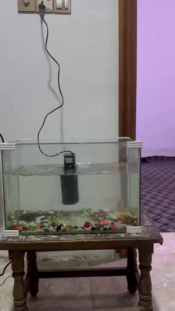 حوض سمك للبيع مع جهاز ماطور ومساح موجود وياه وحصو كامل الحوض للبيع  مكان طويريج


**إذا كنت صاحب هذا الإعلان وتريد حذفه لأي سبب، رجاءا أرسل رسالة إلى الدعم الفني**