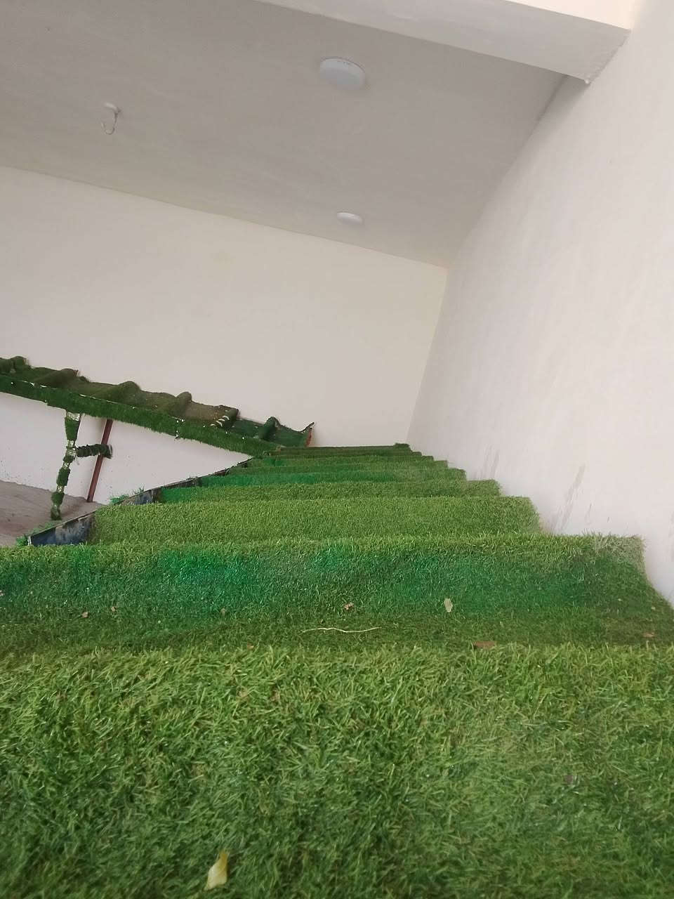 اميوز امخضر للبيع رقم الهاتف ***********
