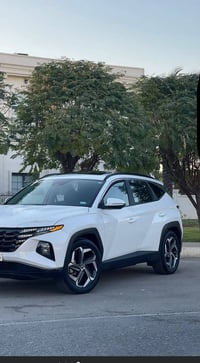 توسان ٢٠٢٢ • فول اوبشن • باب الصندوق متضرر