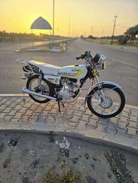 تايجر • ٢٠٢٥ • الحله