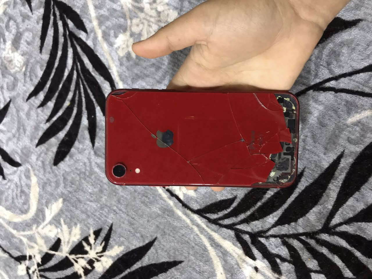 السلام عليكم iPhone XR كلشي شغال بس الضهر مكسور                                           الذاكره 128
البطاريه 100
الشاشه ثلاث خيارات
الدفه سعر 
***********
