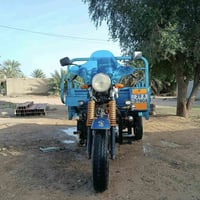 ستوته • موديل 21-22 • كوت