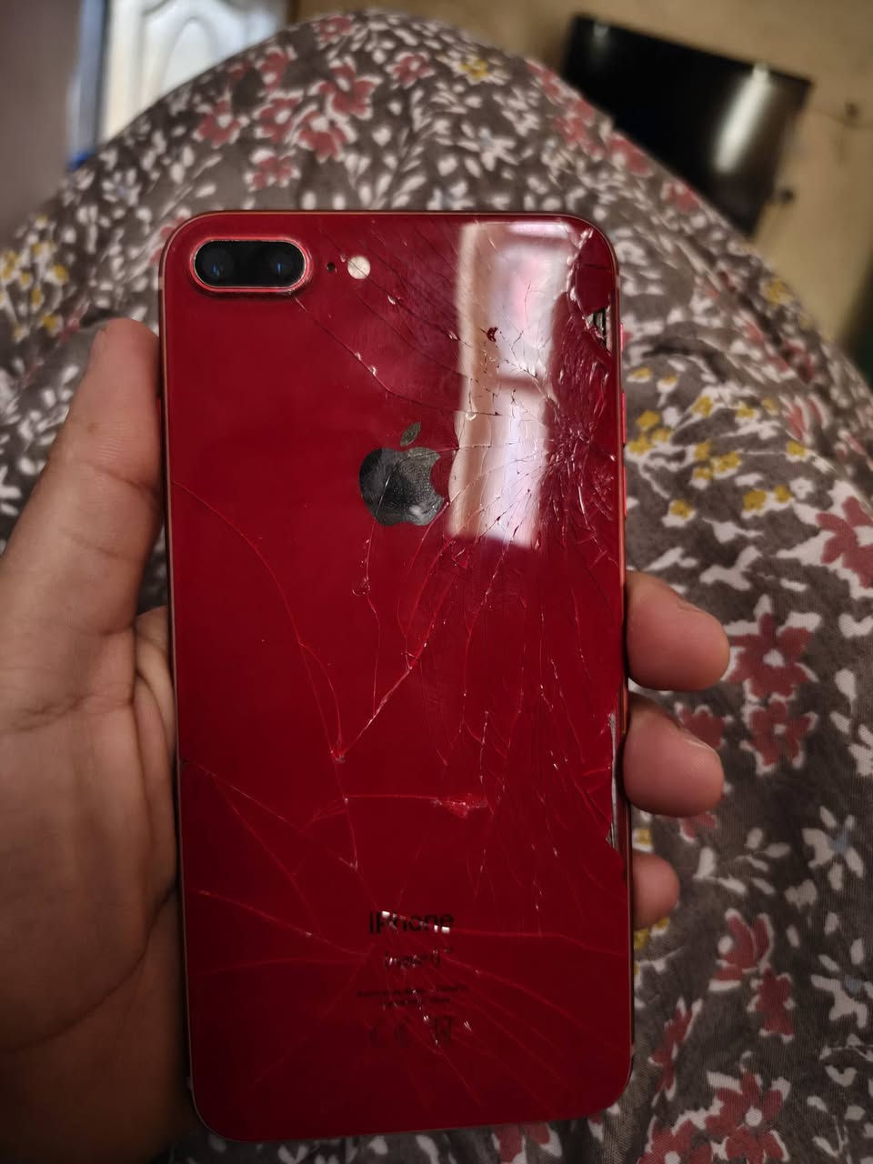 ايفون 7للبيع بطاريته 100


**إذا كنت صاحب هذا الإعلان وتريد حذفه لأي سبب، رجاءا أرسل رسالة إلى الدعم الفني**