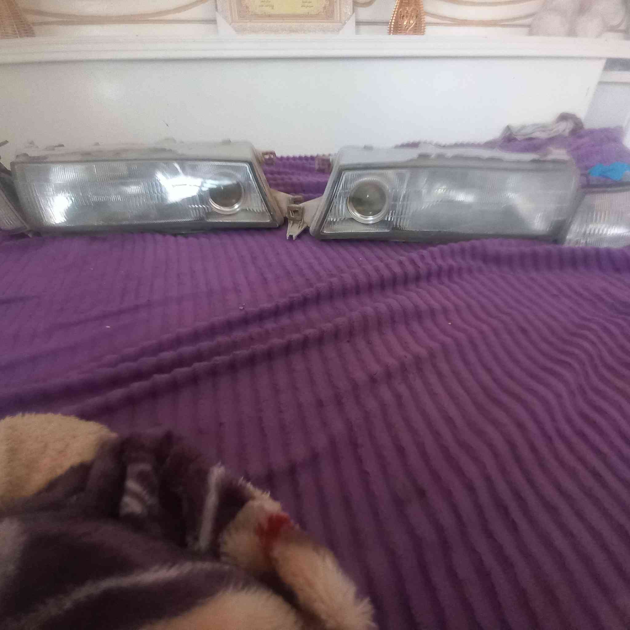 لايتات مارك عظم مع سكنات أبو عدسه اصليات السعر ١٢٠ وهذا رقمي *********** ***********
