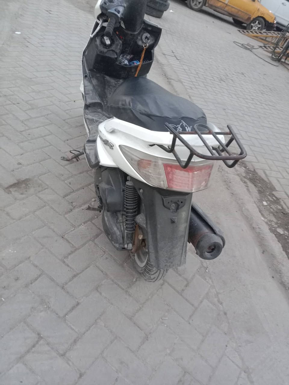 سكنس فحل ياباني للبيع عنوان بغداد الدوره السعر 725 مجال بسيط للاتصال ***********
