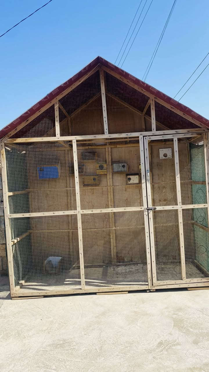 ***********//125 125 وبي مجال/
