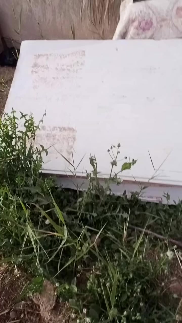 السلام عليك سندويشة قطعة واحدة جديدة غير مستعملة بس الجهال صعدو فوكاهة ونطعجت من النص طولهة سبع امتار سعر 50 ويبهة مجال الشراي يراسلني


**إذا كنت صاحب هذا الإعلان وتريد حذفه لأي سبب، رجاءا أرسل رسالة إلى الدعم الفني**