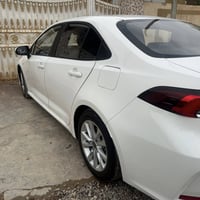 كورلا هايبرد • ٢٠٢٥ • رقم صلاح الدين