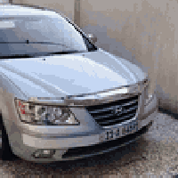 ٢٠٠٩ • ٦ سلندر • وارد امريكي