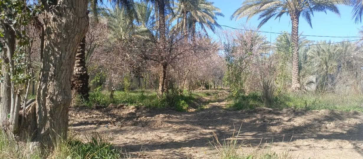 دونم للبيع طابو زراعي سند 25 تحويل مباشر بسم المشتري  العنوان بغداد الراشديه تبعد عن بوابة بغداد الحسينيه 7 دقائق السعر 160 مليون وقابل للتفاوض مسيج بالكامل للاستفسار الاتصال على الرقم التالي *********** مكتب العبيدي للعقار
