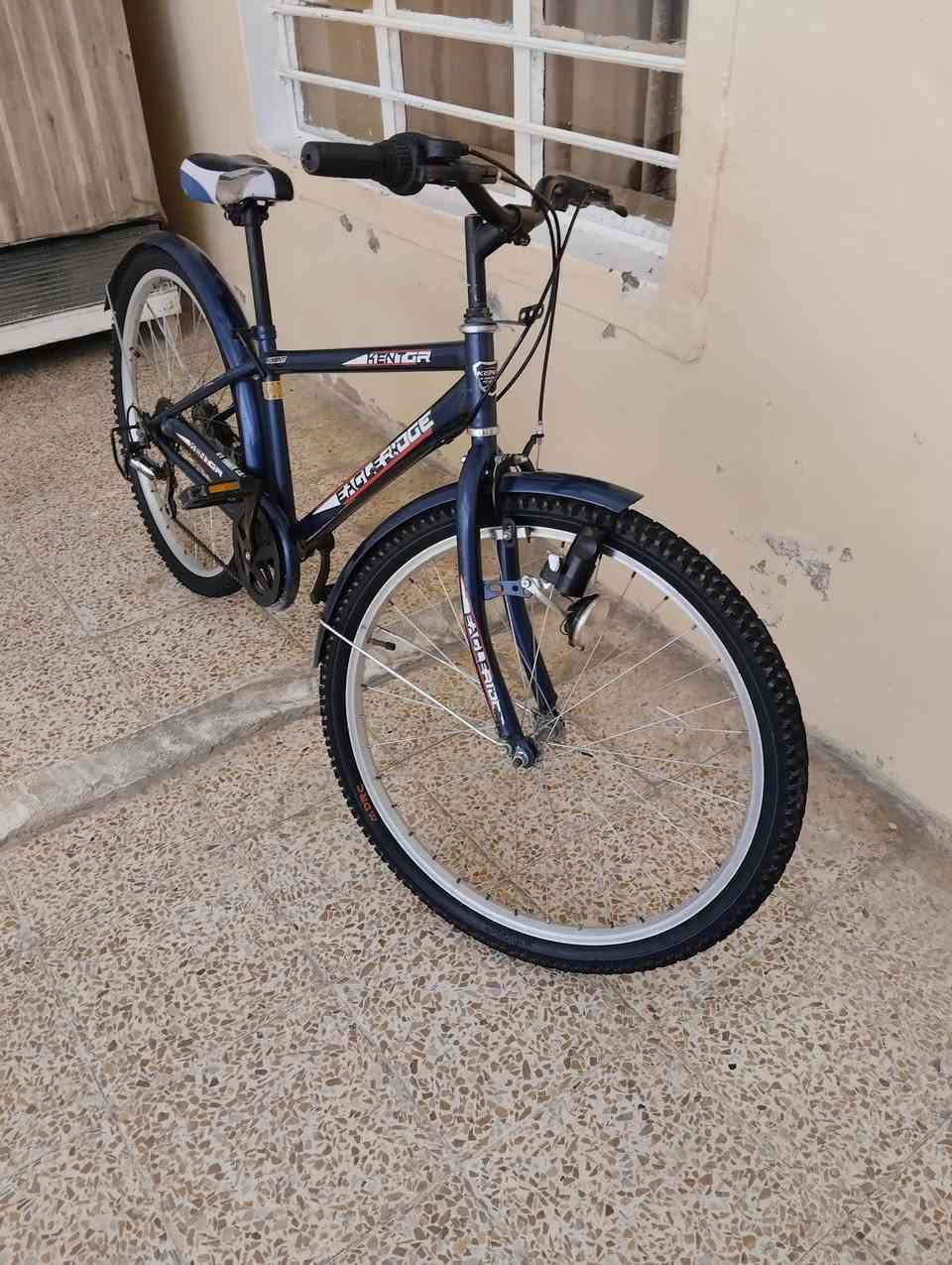 السلام عليكم باسكل للبيع جبلي حجم 26 نضيف فول شرط كلو شغال نضيف كير شغال المكان موصل جانب الايمن صناعة اليابسات كير 6نمرات السعر 100 وبي مجال


**إذا كنت صاحب هذا الإعلان وتريد حذفه لأي سبب، رجاءا أرسل رسالة إلى الدعم الفني**