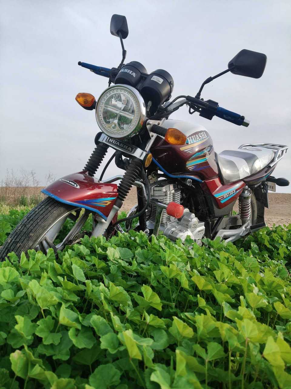 بيع او مراوس بلون اسود


**إذا كنت صاحب هذا الإعلان وتريد حذفه لأي سبب، رجاءا أرسل رسالة إلى الدعم الفني**