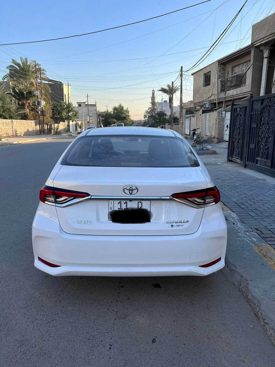 *********** بغداد, العراق
