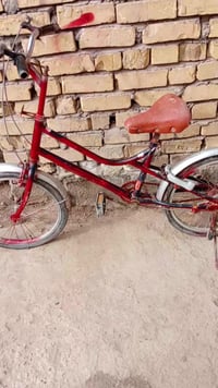 باسكل ياباني • حجم ٢٠ • حله سياحي دولاب