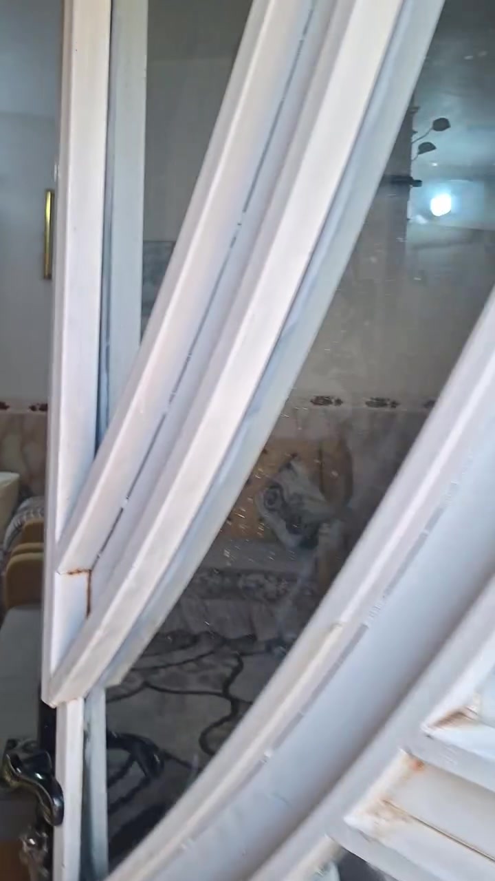 الله بالخير بيت ركن للاجار مرتب جديد ٤ غرف نوم ستقبال صاله مطبخ بيت مرتب بالعطيشي يتبع الحي الزهراء شارع المدرسه وجه شارع تبليط للاجار ***********
