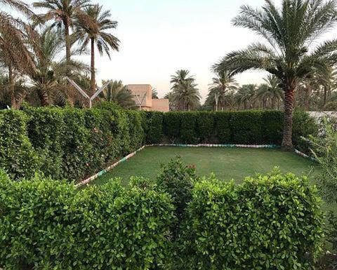 تريد منضر حديقتك جميل تنضيف وترتيب وتزبير الحدائق المنزيله ازالت العشاب الضاره اتصل وبيك خير ودلل ***********
