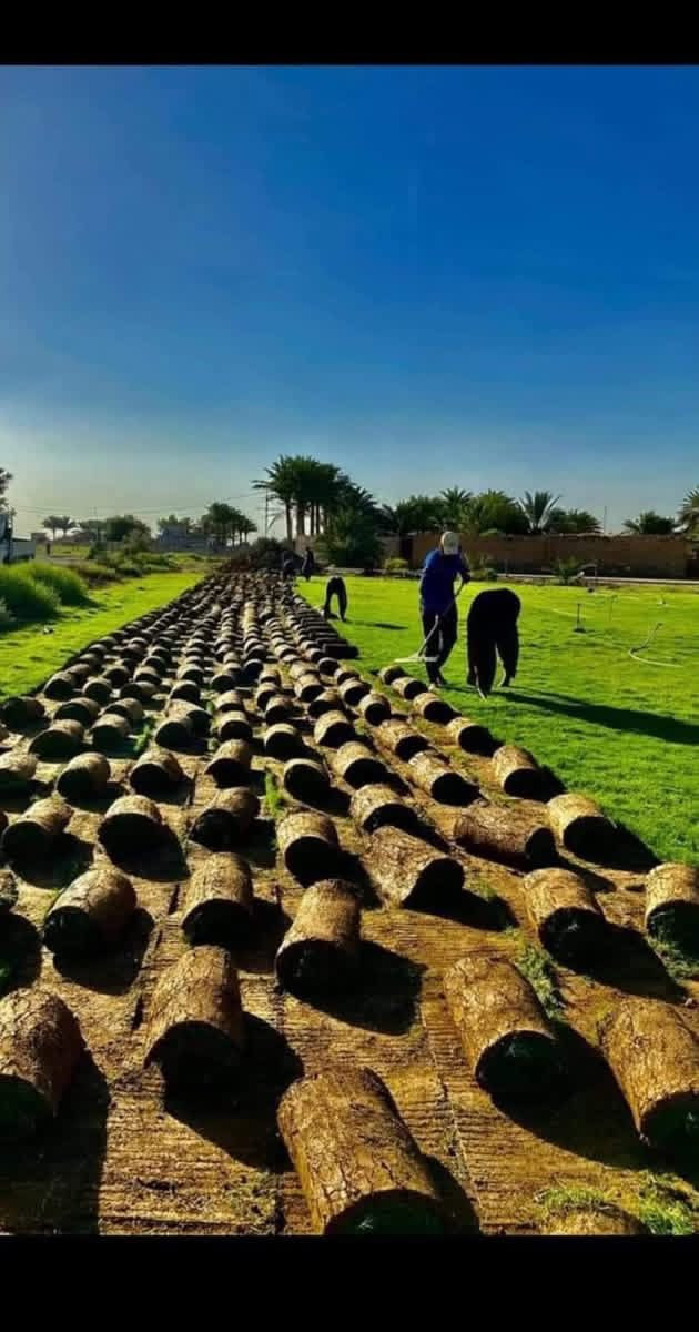 باسعار ثيل ديالى الطبيعي 🏡
أهلاً بكم في مجموعه مزارع ديالى لثيل الهندي الطبيعي 🌿🌱

 نقدم لكم افضل انوع الثيل الطبيعي عالي الجوده يتحمل كافه الضروف البيئية.🌦️🌞

دائم الخضرة🌿🌳 وباسعار تنافسيه وعروض مميزة ☘️❤️

#مستعدون لتجهيز وفرش الحدائق🏡 ودوائر الدولة🏡والمنازل🏡🏡

و تجهيز الملاعب🏟️ والمنتزهات بانسب الاسعار مع ضمان الجودة العالية في العمل👷👷

مع خدمة التوصيل خلال24ساعه🚛🚛  

الاسعار 💵💸 تختلف حسب الكمية 

للاستفسار الاتصال على : 

او التواصل مع الصفحه عن طريق ارسال رسالة على الوتساب او الاتصال📞‏***********
