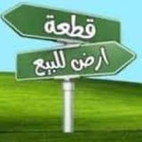 الصقلاوية • ١٠ دونم • طابو زراعي