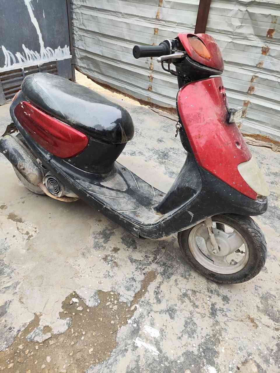 دراجة منغولي فحل للبيع   السعر 350 الف دينار  // *********** واتساب
