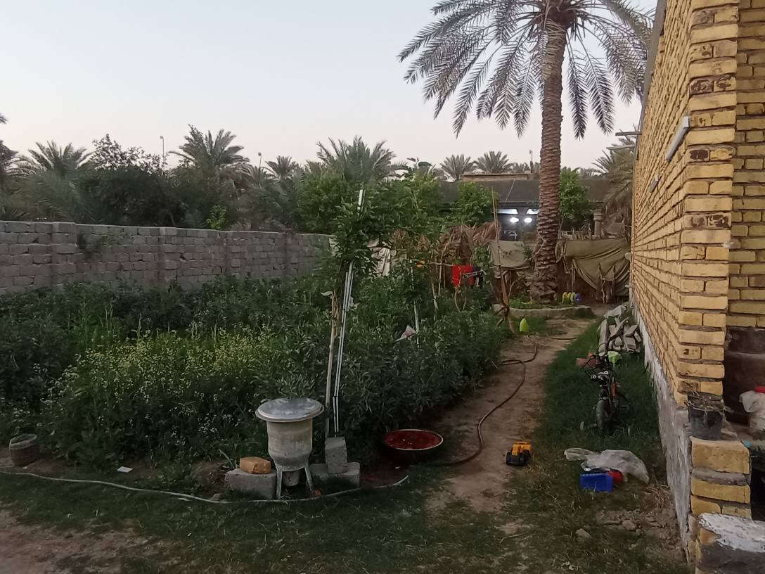 سلام عليكم يتوفر قطع ارض مساحتها 420متر جنس الأرض ملك صرف زراعي حق التصرف موقع مميز قرب أثار بابل مشيد عليهى هيكل مسقف مئسس ماء كهرباء مجاري كافت الخدمات متوفره الي يحب يتواصل رقم الهاتف وتساب *********** حلة, بابل
