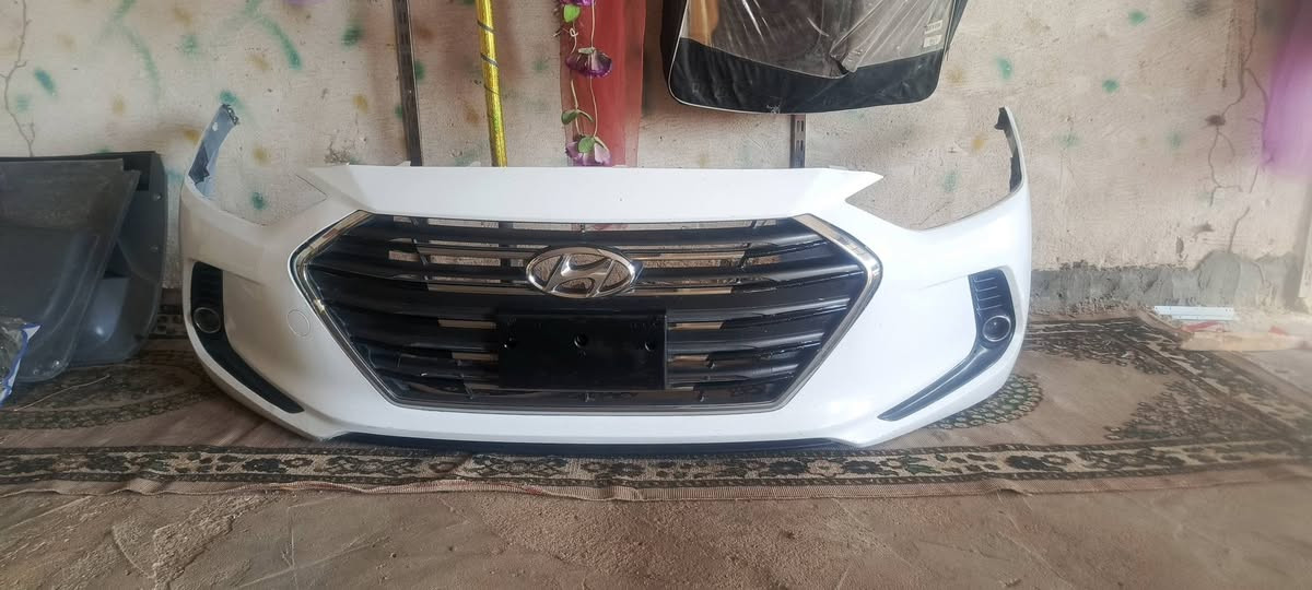 دعاميه النترا 2017كامله شباج وكشافات  بدون صبغ بلاديه جديده
250 بيها مجال ***********
