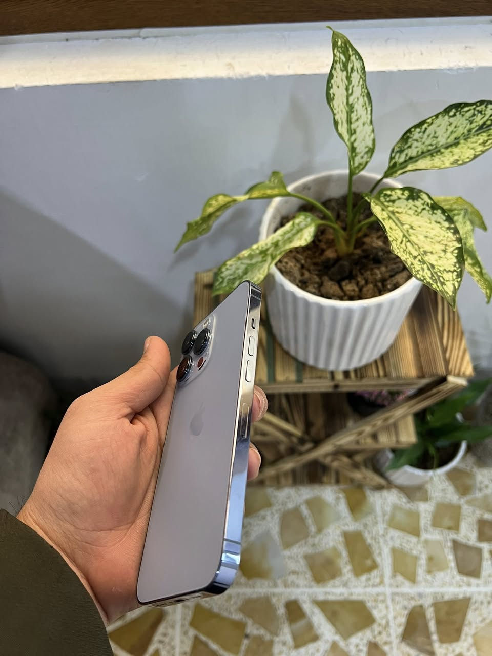 ايفون 13 برو
لاذاكرا128
بطاريه 95
نموذج M
تك سيم 
جهاز شرط وضمان تاخذه
السعر 525
‏‪***********
‏‪***********‬‏
بي مجال حك لجيا فقط
