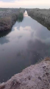 ارض مساحه 250دونم اليجار   ولبيع مالك ولملك الله  نتصال   الموقع 07711...