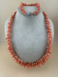 مرجان • حلي مرجان