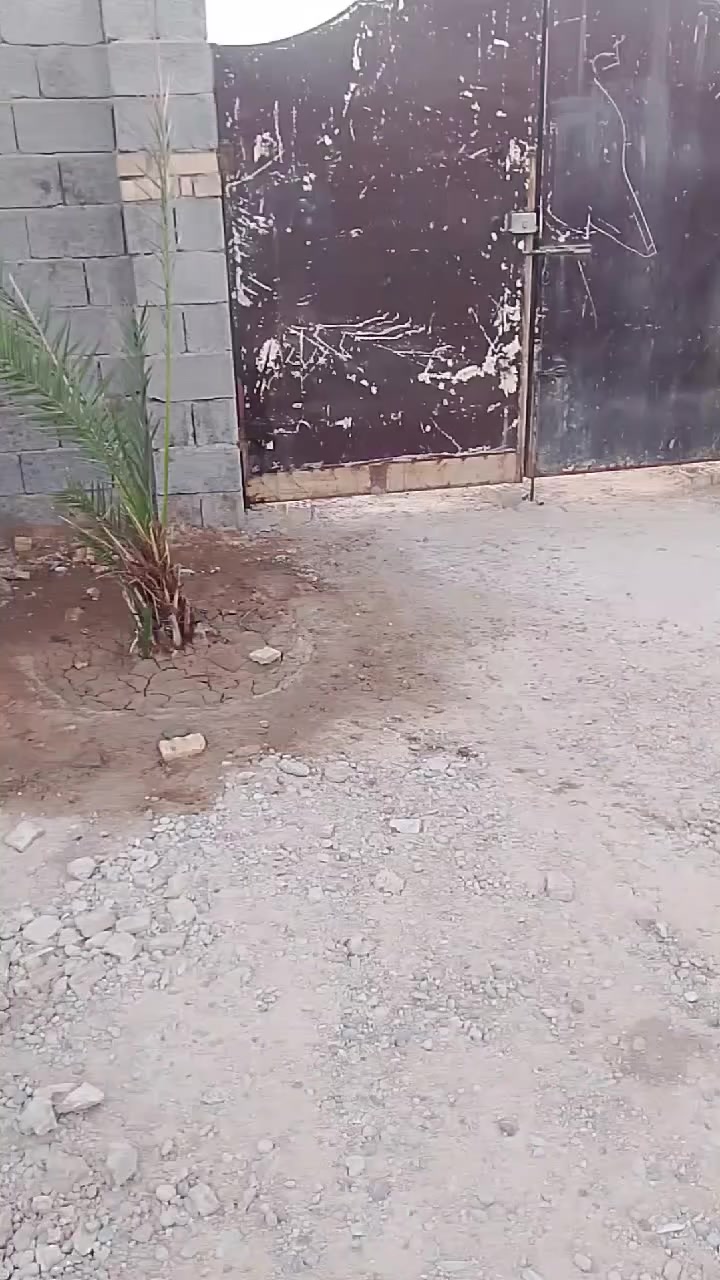 السلام عليكم اخوان عندي دونم البيع يحتوي بيت غرفه نوم عدد 2
صاله مع حمام مع تواليت  منورين 
مطبخ بارد 
مطبخ حار 
ستقبال 
كلدور 
صحيات خارجية 
محتوي على بيت 1000 متر 
باقي 1500 متروكه 
الخدمات الكهرباء +مياه+ تبليط+ مدرسه 
العنوان بغداد السعادة

رقم الهاتف ***********
