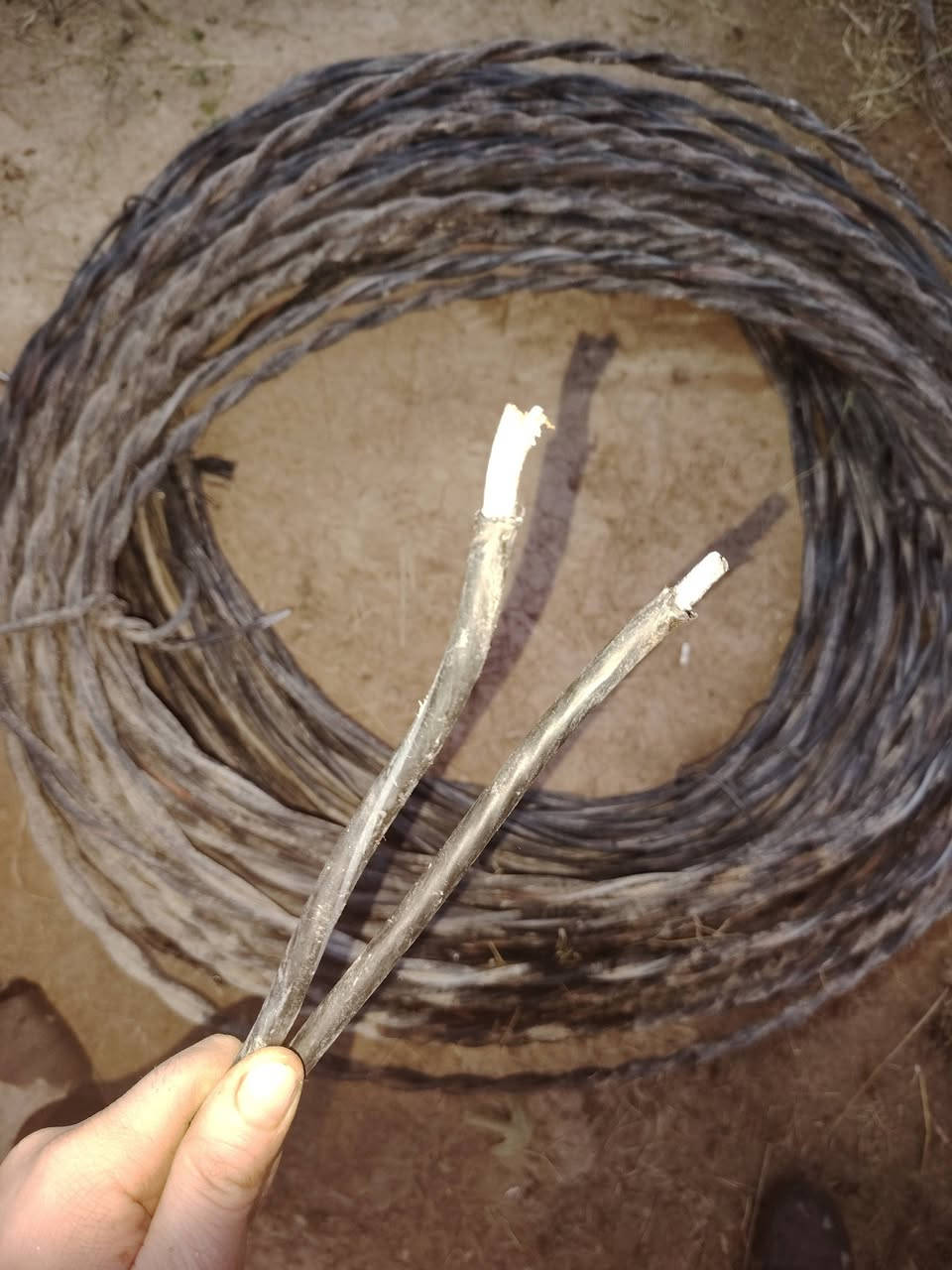 السلام عليكم ضفيره تركي حجم 35
طول 93 اب 93
***********
