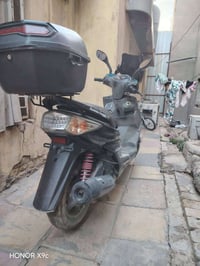 سكنس للبيع فحل خطين مال رمبه ملحه  مكينه بلاديه ختم واحد مابيه نقص  ما...