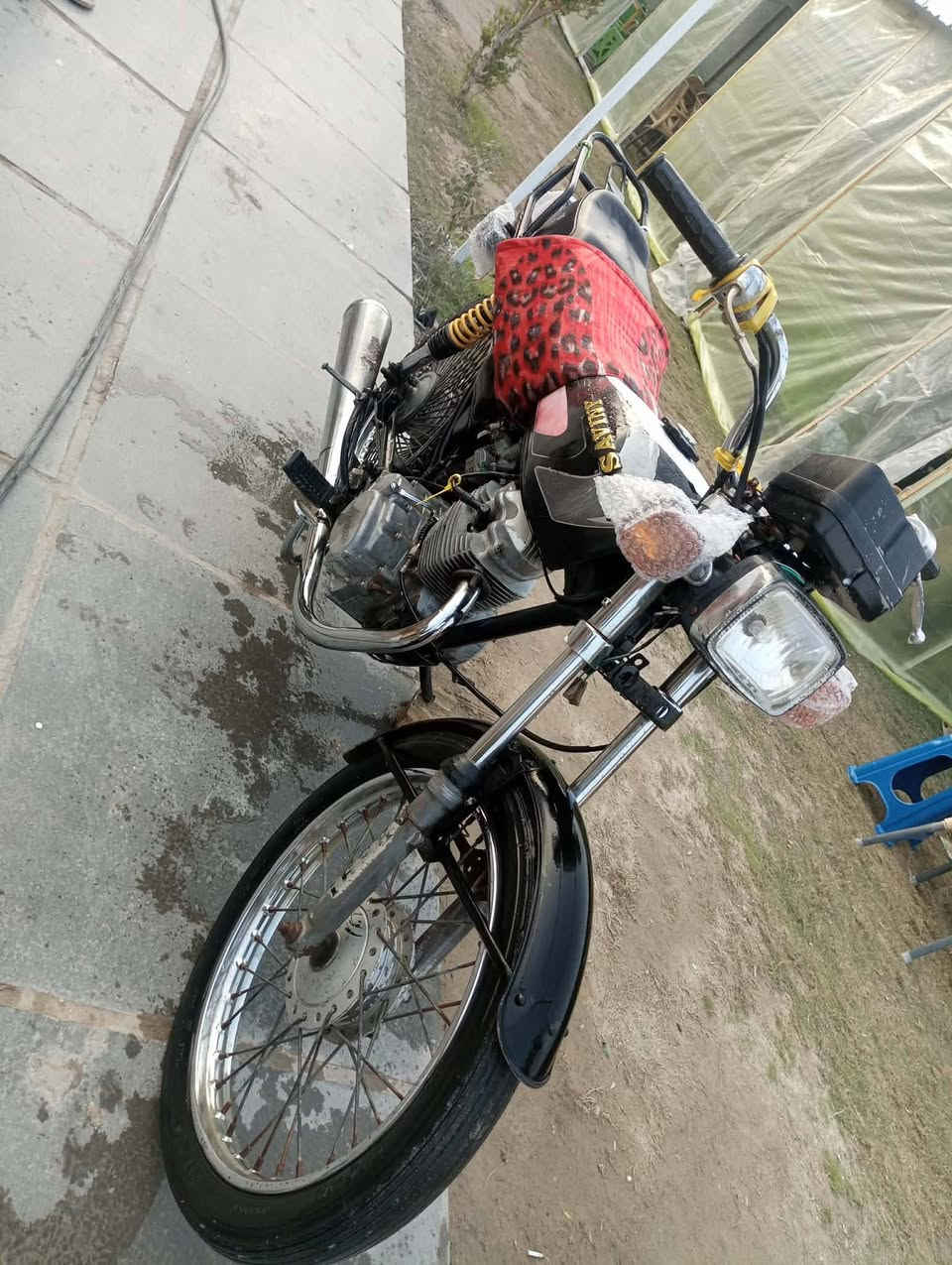 سلام عليكم دراجه البيع موديل 2014 مكفوله كفاله عامه مانقسه شي دراجه حلوه ونضيفه شغل وروح بس كلك بدون 
وراق كلك بس اسويلك مكاتبه عليه دراجه حلوه ونكره هندر 
السعر 350 وبيه مجال الطيبين واني خادم والله 
مكاني بابل قضاه المحاويل اتصل وبيك خير ودلل 

📞***********📞
