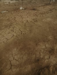 قطعه أرض زراعي للبيع مساحة ٩٠٠ الواجهه ١٤ والنزال ٦٨ عله شارعين شارع ك...