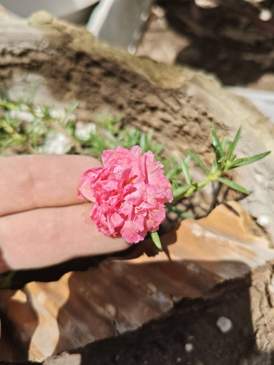 من رخصة الادمنية
٢ سندان ب ٥ ويوجد توصيل لكل العراق


**إذا كنت صاحب هذا الإعلان وتريد حذفه لأي سبب، رجاءا أرسل رسالة إلى الدعم الفني**