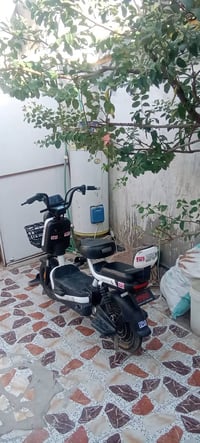 دراجة شحن • ريان • الجزيرة الحوطه