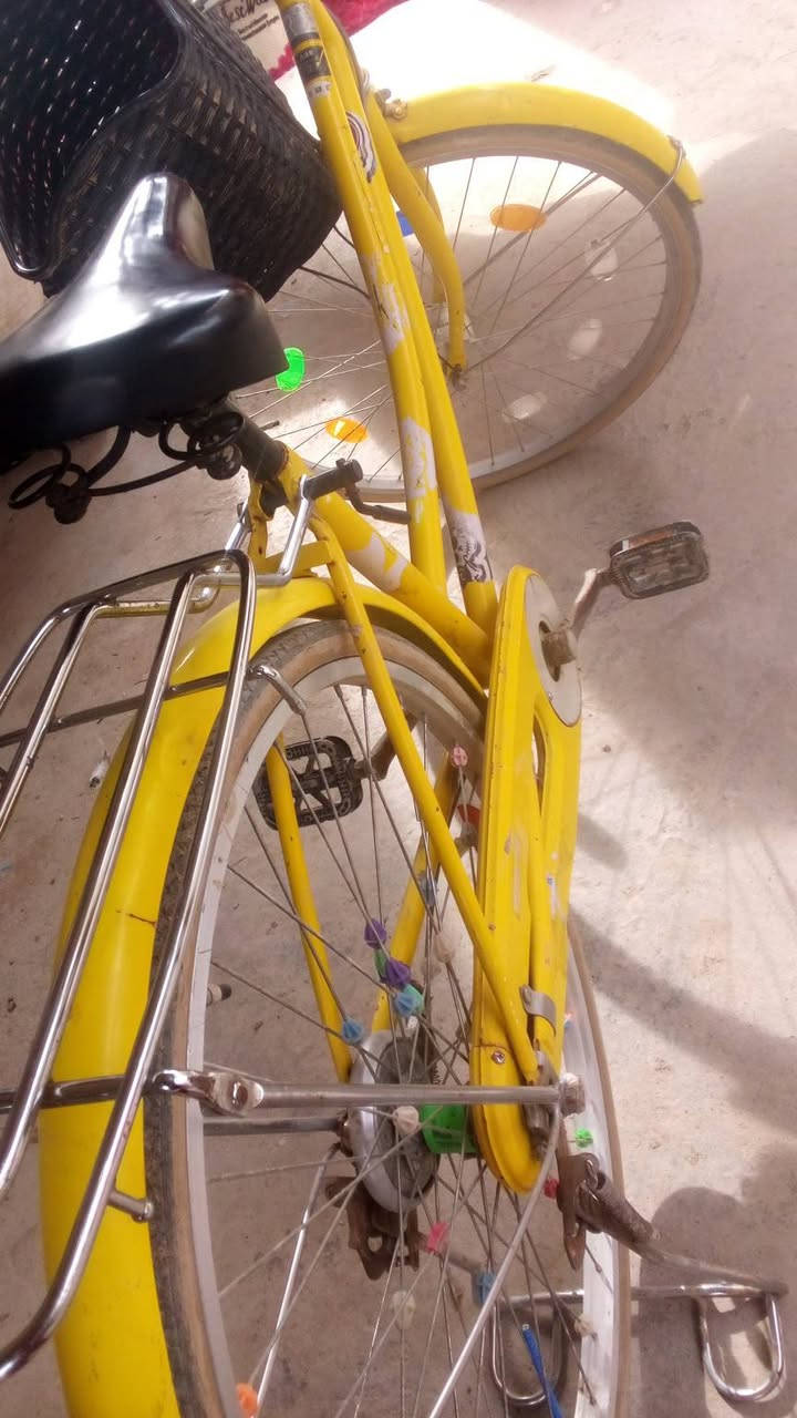 السلام عليكم بايسكل للبيع البايسكل نضيف ما بي اي شي بركيات كاملات مكاني بغداد حي اور للاستفسار ***********واتساب فقط
