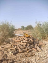 يوجد حطب للبيع  للاتصال 07769529137